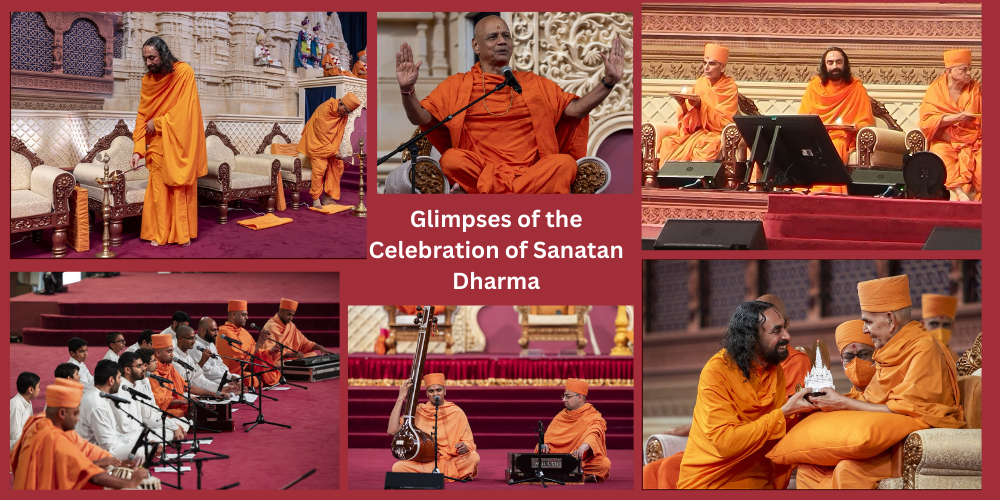 "Swami Mukundananda at Sanatan Dharma Celebration"
