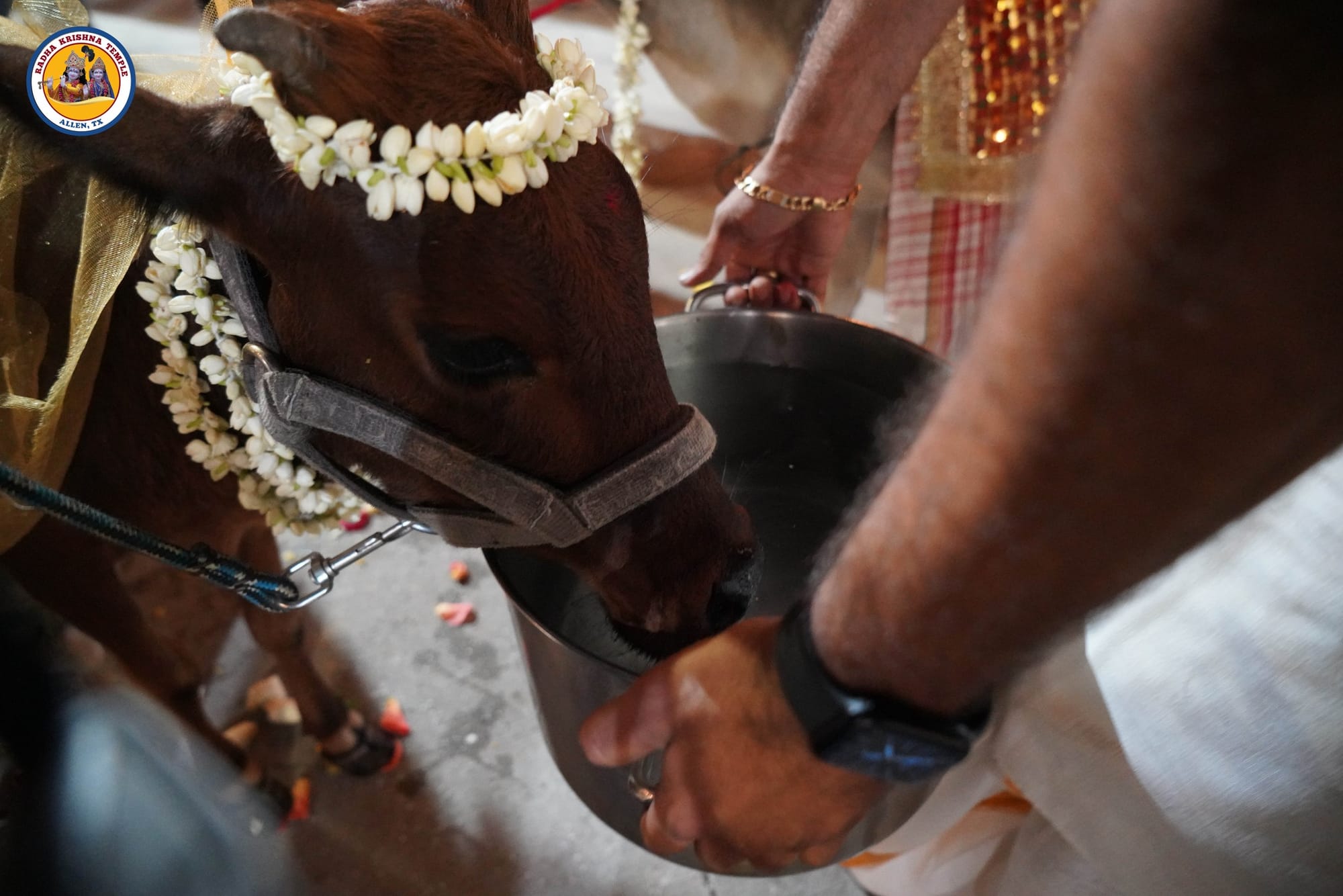 Diwali 2024: Celebrations at Radha Krishna Temple